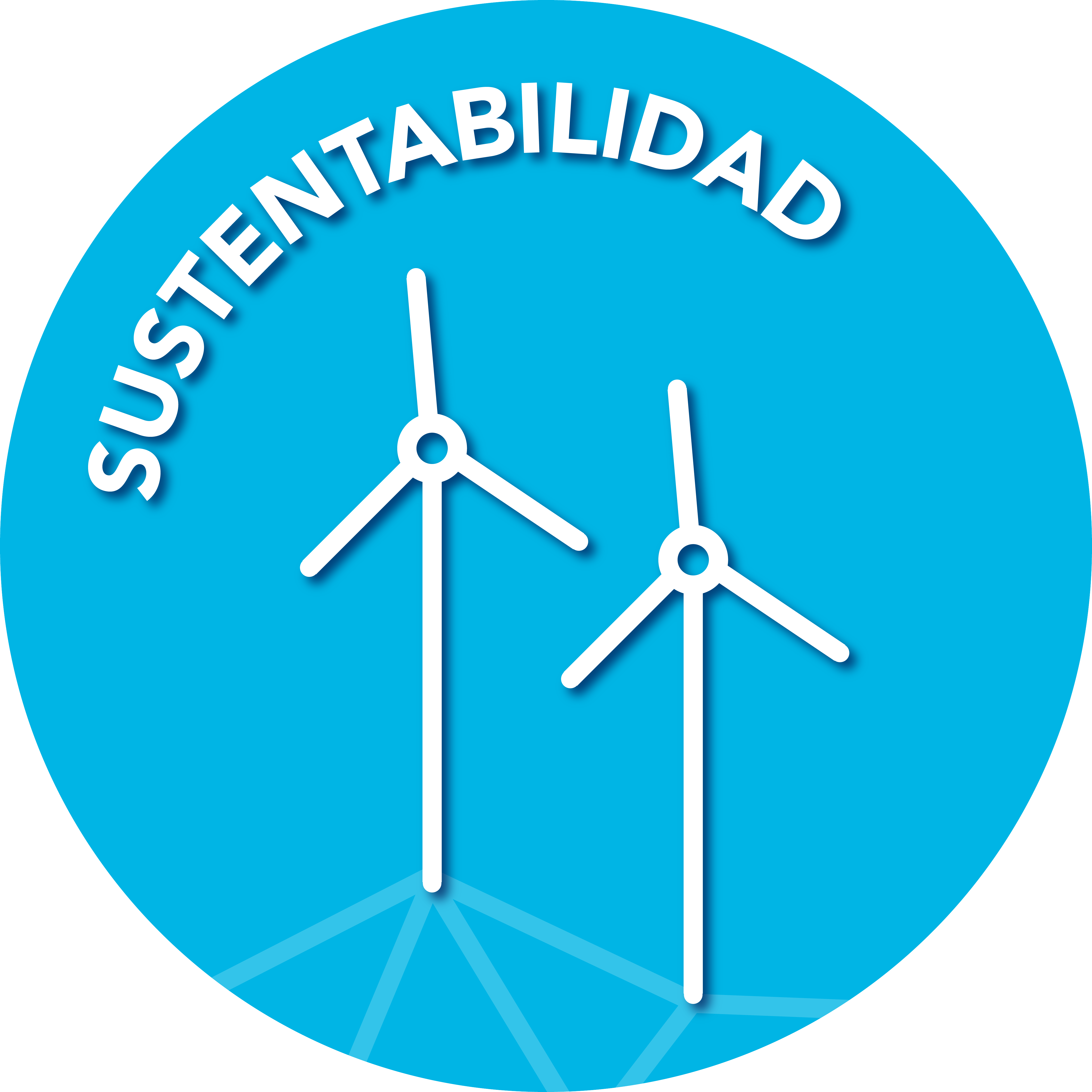 sustentabilidad_